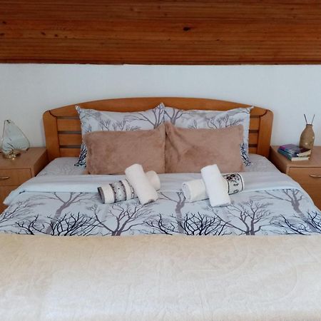Vila Lenka Sokobanja Ngoại thất bức ảnh