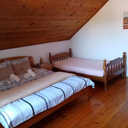 Vila Lenka Sokobanja Ngoại thất bức ảnh