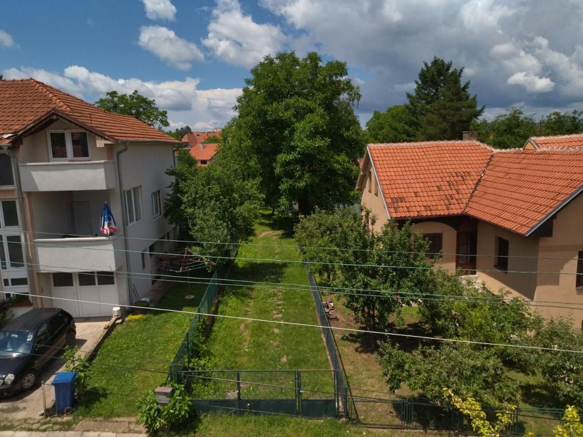 Vila Lenka Sokobanja Ngoại thất bức ảnh