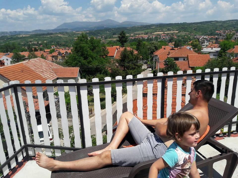 Vila Lenka Sokobanja Ngoại thất bức ảnh
