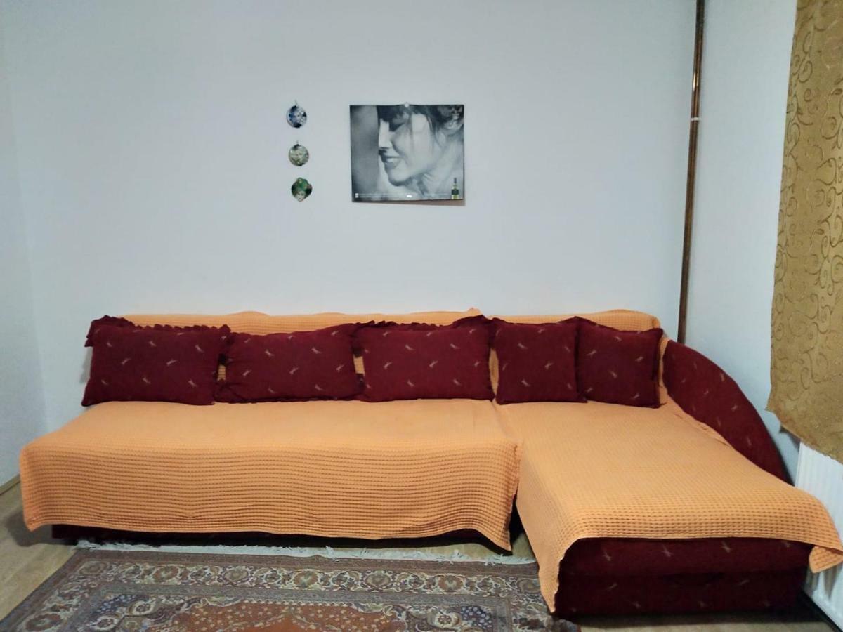 Vila Lenka Sokobanja Ngoại thất bức ảnh